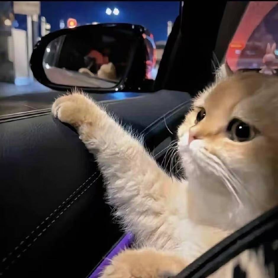 星辰个人引导页